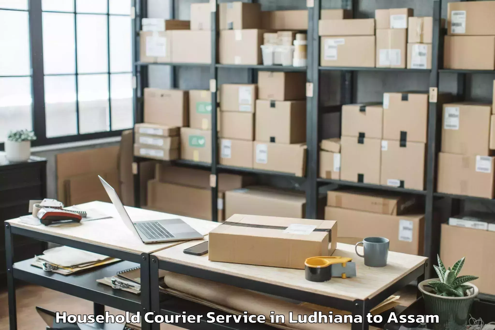 Book Ludhiana to Gauripur Household Courier